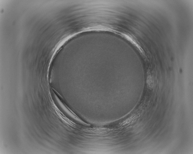 X0000059241372200510171420