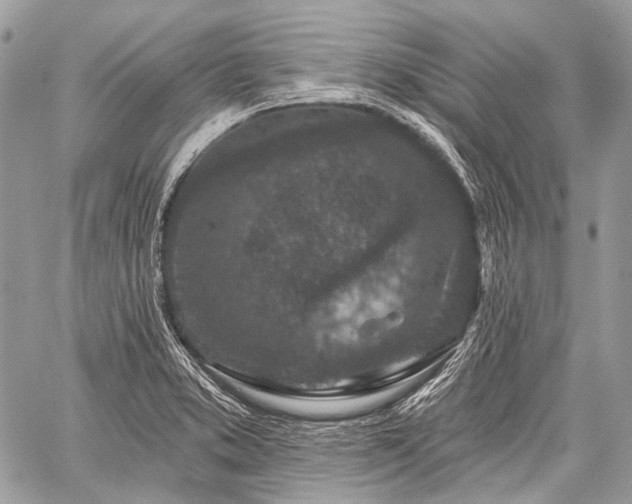 X0000059241373200510171420