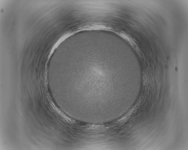 X0000059241374200510171420