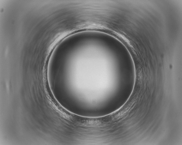 X0000059241375200510171420