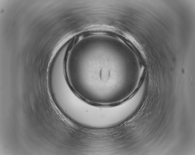 X0000059241376200510171420