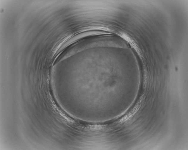 X0000059241377200510171420