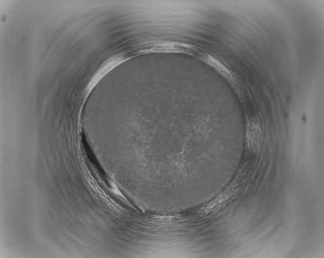 X0000059241378200510171420