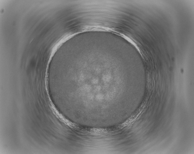 X0000059241379200510171420