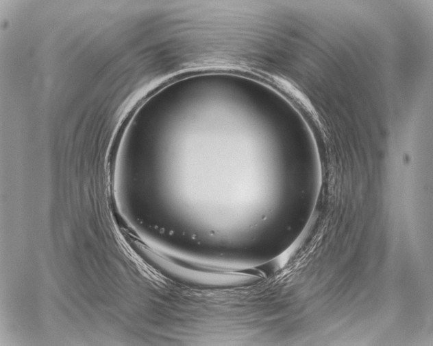 X0000059241380200510171420