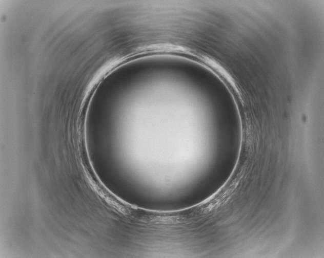 X0000059241381200510171420