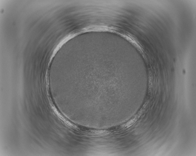 X0000059241382200510171420