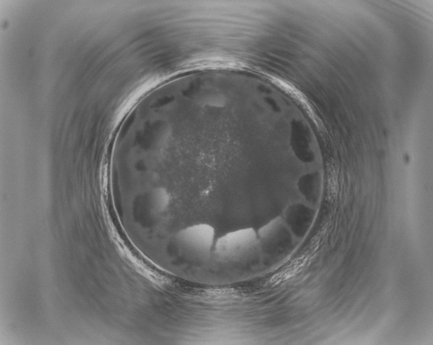 X0000059241383200510171420