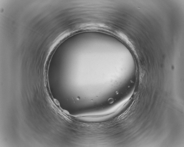 X0000059241384200510171420