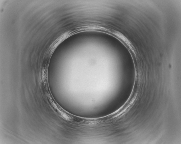 X0000059241385200510171420