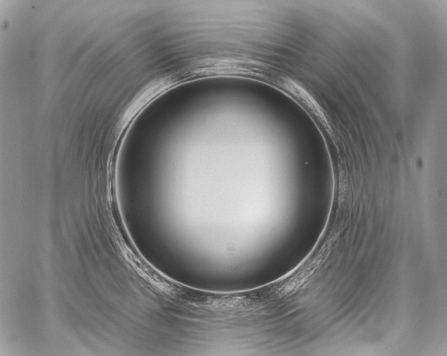 X0000059241386200510171420