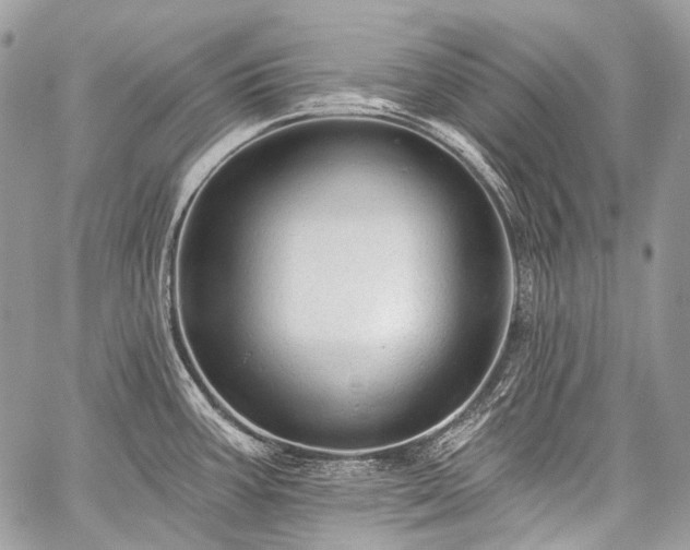 X0000059241387200510171420