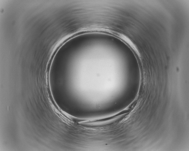 X0000059241388200510171420