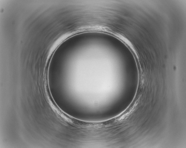 X0000059241389200510171420