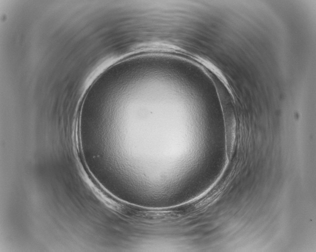 X0000059241391200510171420