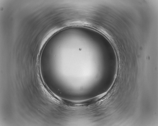 X0000059241392200510171420