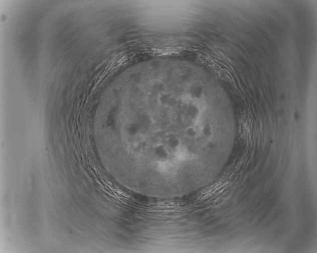 X0000059241393200510171419