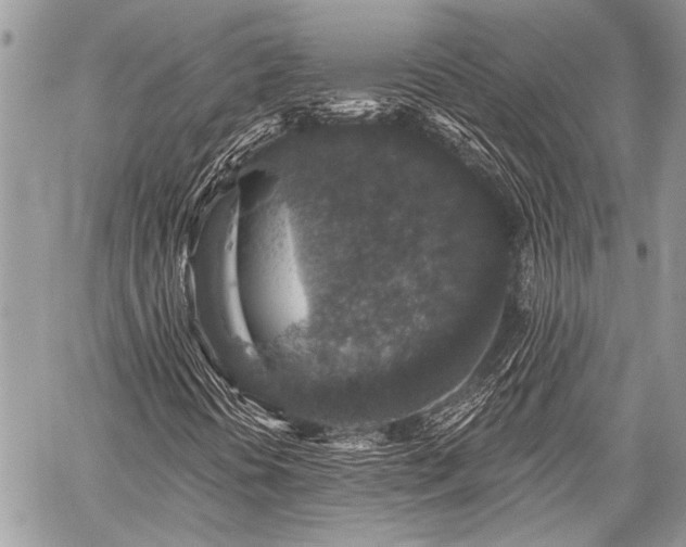 X0000059241394200510171419