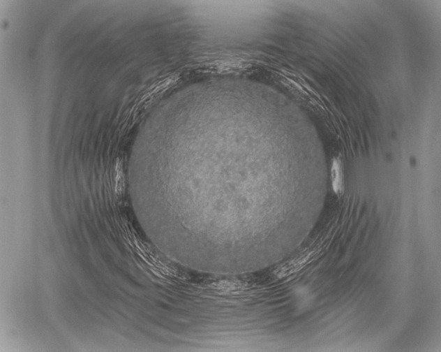 X0000059241395200510171419