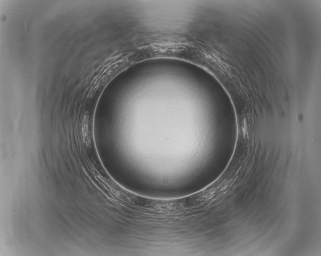 X0000059241396200510171419