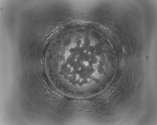 X0000059241397200510171419