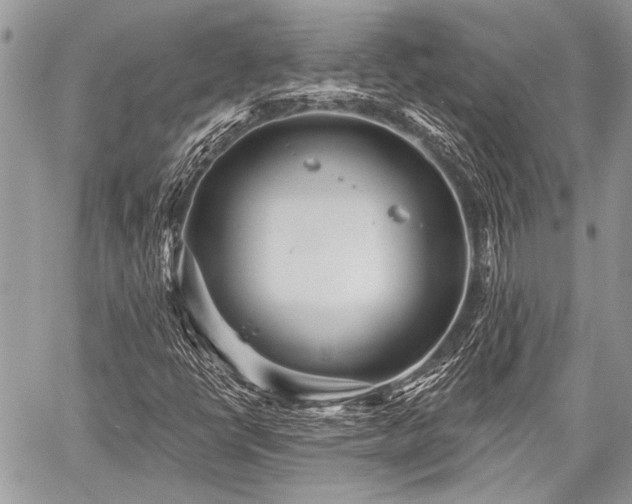 X0000059241398200510171419