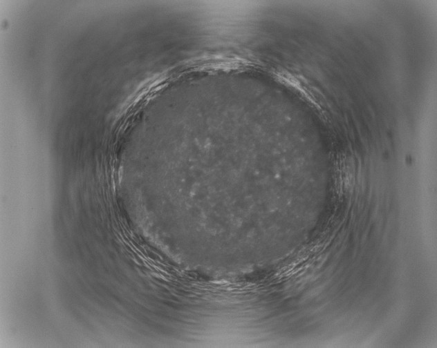 X0000059241399200510171419