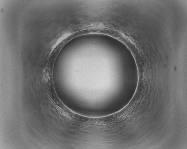 X0000059241400200510171419