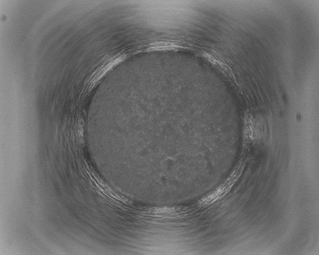 X0000059241401200510171419