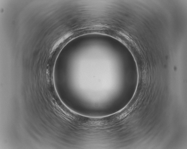 X0000059241402200510171419