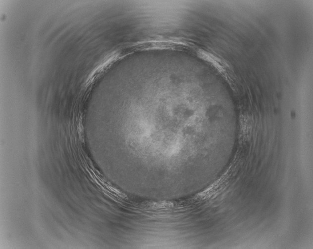 X0000059241403200510171419