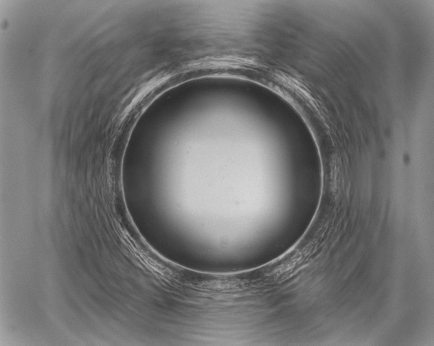 X0000059241404200510171419