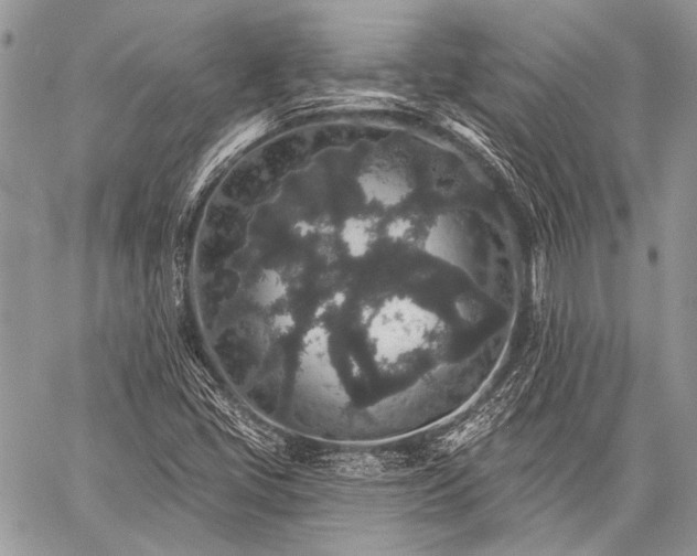 X0000059241405200510171419