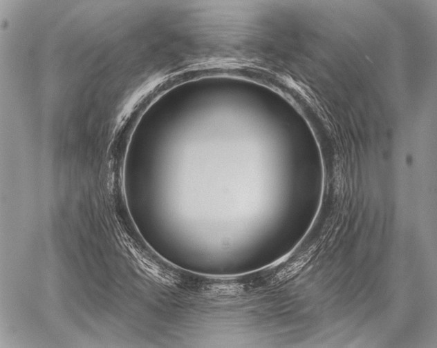 X0000059241406200510171419