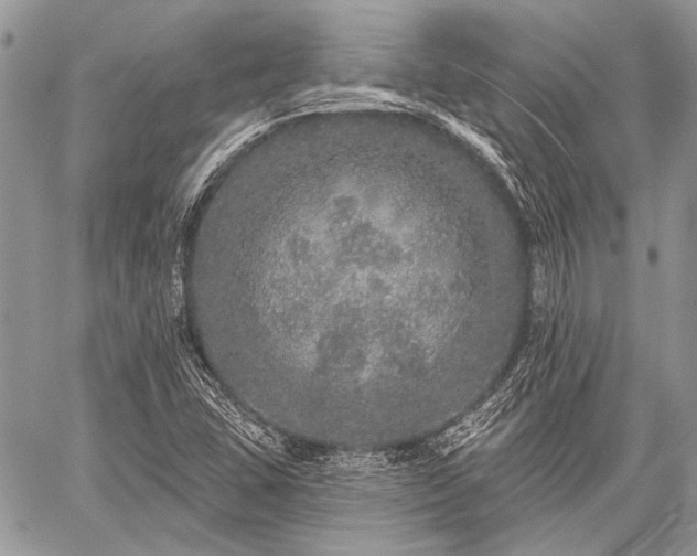 X0000059241407200510171419