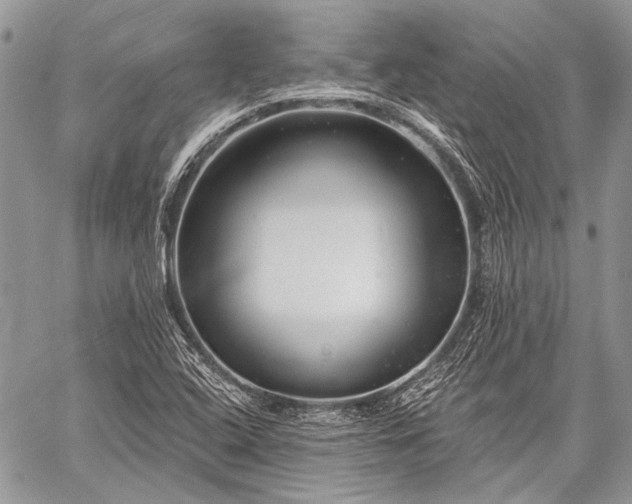 X0000059241408200510171419