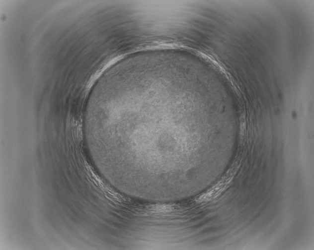 X0000059241409200510171419