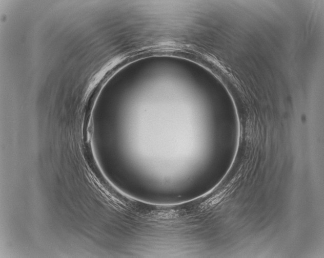 X0000059241410200510171419