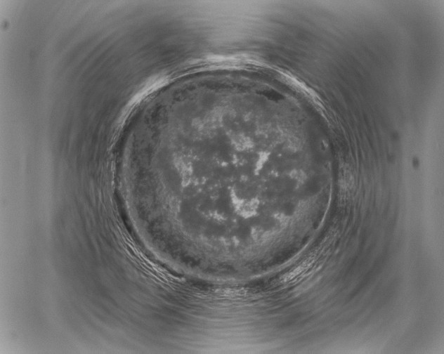 X0000059241411200510171419