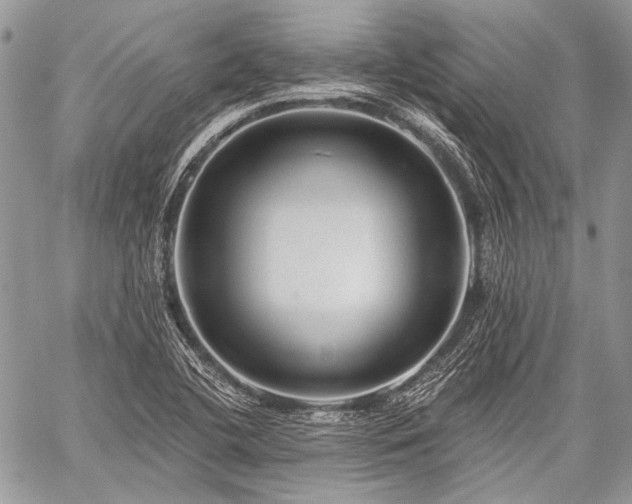 X0000059241412200510171419