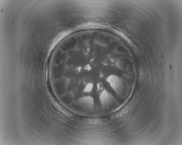 X0000059241413200510171419