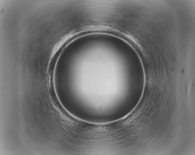 X0000059241414200510171419