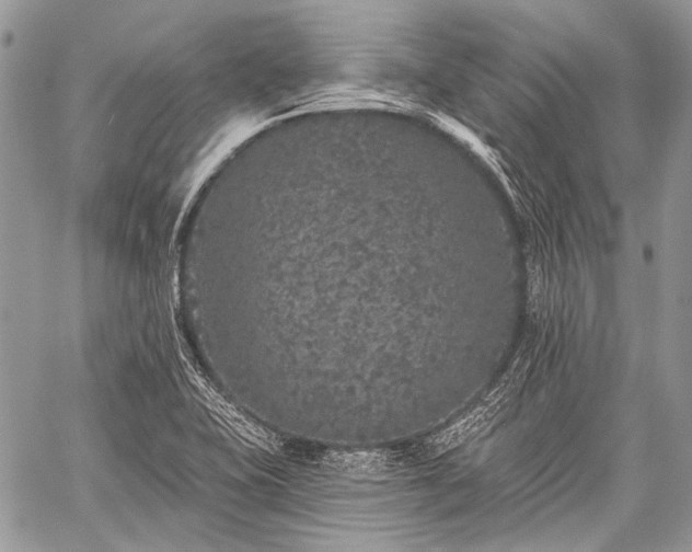 X0000059241415200510171419