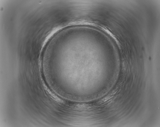 X0000059241416200510171419