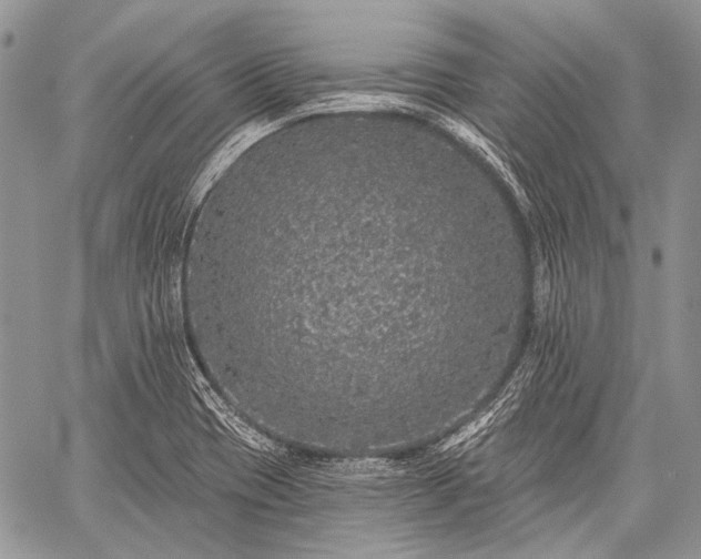 X0000059241417200510171419