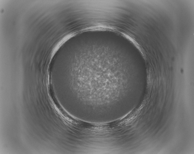 X0000059241418200510171419