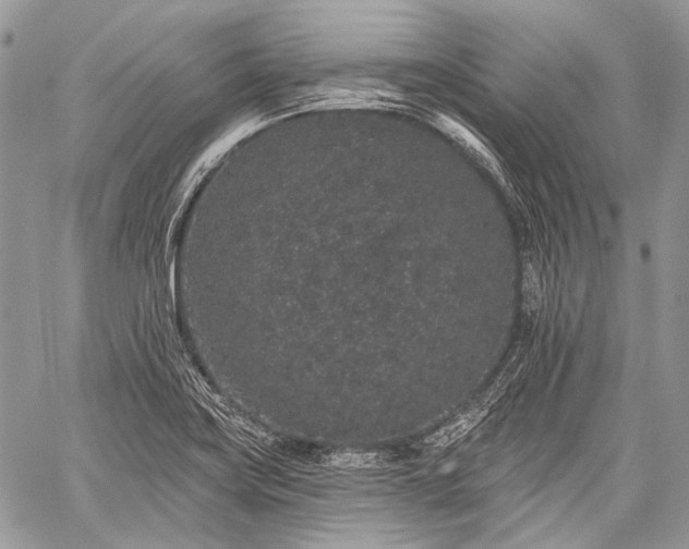 X0000059241419200510171419