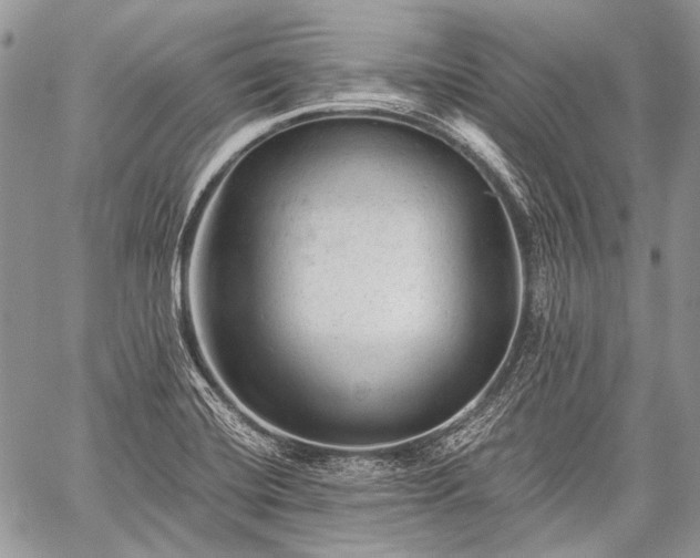 X0000059241420200510171419