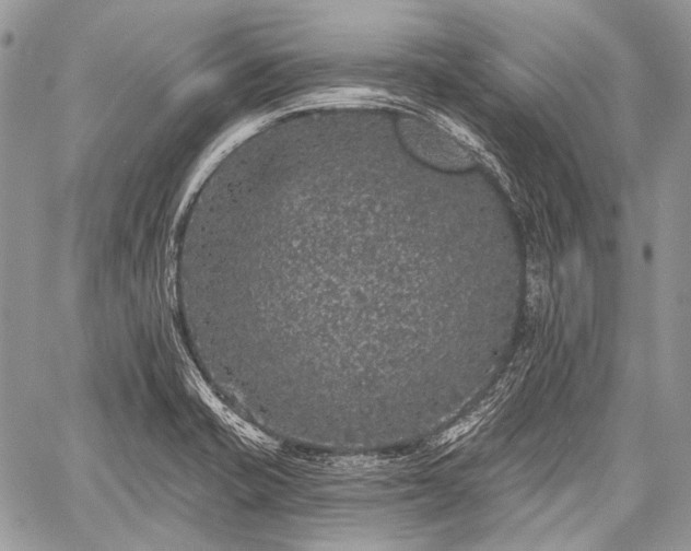 X0000059241421200510171419