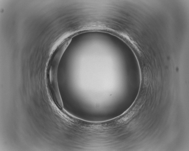 X0000059241422200510171419